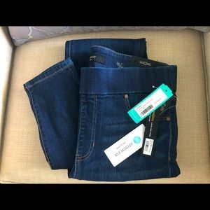 NWT Liverpool Elizabeth Super Skinny Jean